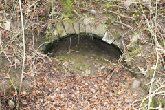 Lasgarn Quarry Southern tunnel, March 2009